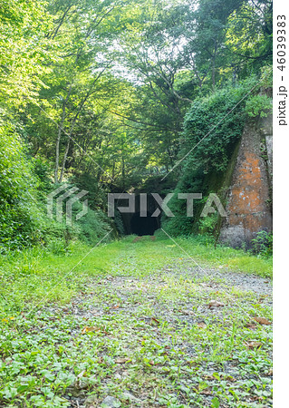 今庄(福井県)-山中トンネル横穴 今庄(福井県)-山中トンネル横穴 46039383