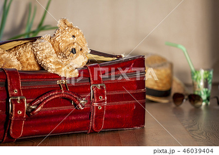 Travel concept of Teddy bear and red vintage suitcase Travel concept of Teddy bear and red vintage suitcase 46039404