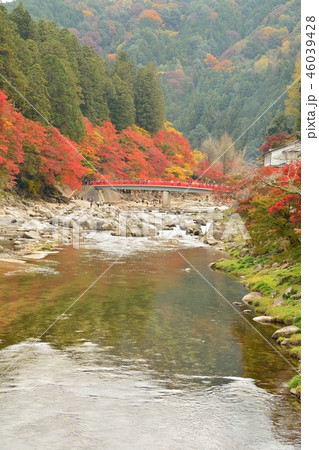 愛知県豊田市 香嵐渓の紅葉風景 愛知県豊田市 香嵐渓の紅葉風景 46039428