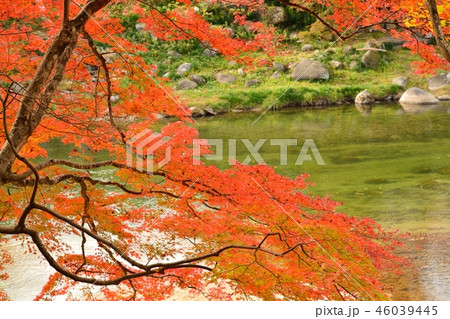 愛知県豊田市 香嵐渓の紅葉風景 愛知県豊田市 香嵐渓の紅葉風景 46039445