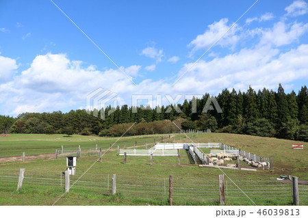 小岩井農場、ひつじショー会場 小岩井農場、ひつじショー会場 46039813