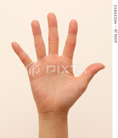 女性　手の平 46039843
