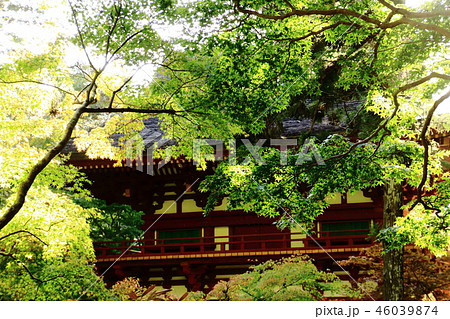 室生寺、仁王門、奈良県 室生寺、仁王門、奈良県 46039874