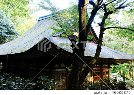 室生寺、本堂、潅頂堂、国宝 室生寺、本堂、潅頂堂、国宝 46039876