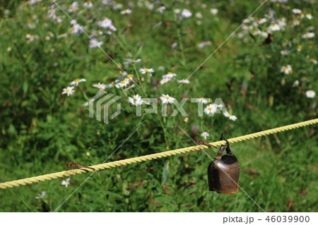 小岩井農場、上丸遊歩道のカウベルとトンボ 46039900