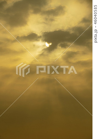 始華湖 安山市 京畿道 46040585