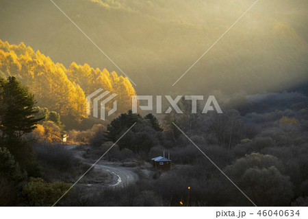 韓国 自然 日光 46040634