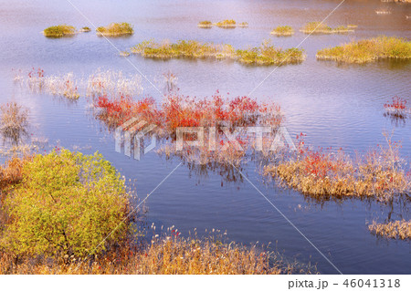 自然 水煙 反射 46041318