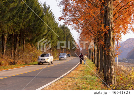 観光 自然 道路 46041323