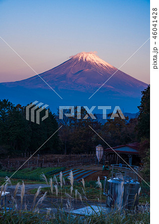 （静岡県）夜明けの牧場と富士山 46041428