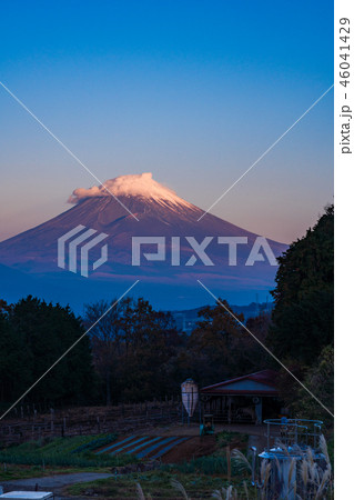 (静岡県)夜明けの牧場と富士山 (静岡県)夜明けの牧場と富士山 46041429