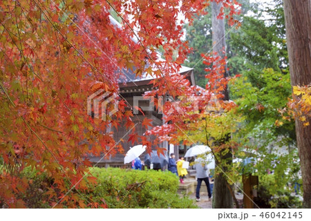 石道寺付近の紅葉（滋賀県長浜市） 46042145