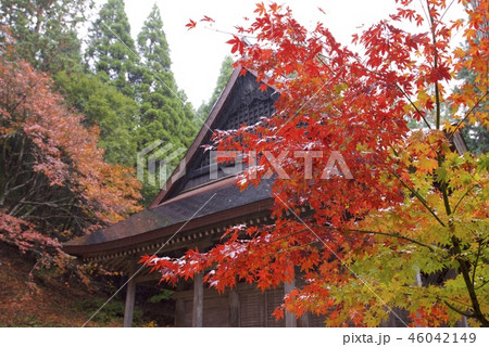 石道寺付近の紅葉(滋賀県長浜市) 石道寺付近の紅葉(滋賀県長浜市) 46042149