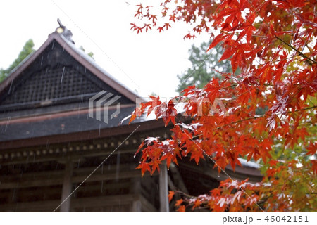 石道寺付近の紅葉（滋賀県長浜市） 46042151