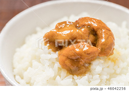 塩ウニとご飯 46042256