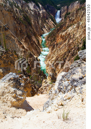 The Lower Falls in Yellowstone National Park 46042530
