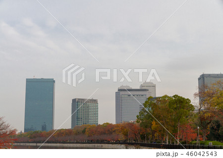 ビル 紅葉 秋 大阪 ビル 紅葉 秋 大阪 46042543