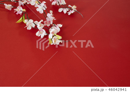 chinese new year festival plum flowers chinese new year festival plum flowers 46042941