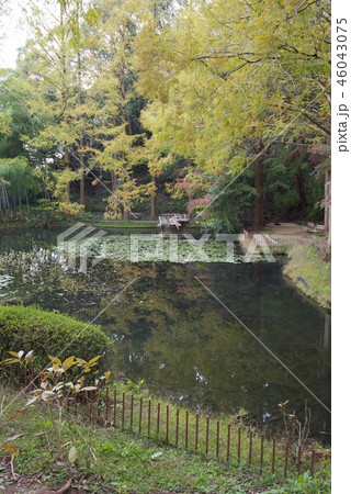 秋の須磨離宮公園の新池(神戸市) 秋の須磨離宮公園の新池(神戸市) 46043075