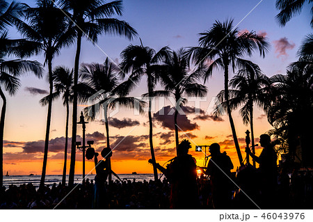 《ハワイ》フラダンスショー・ハワイイメージ 《ハワイ》フラダンスショー・ハワイイメージ 46043976