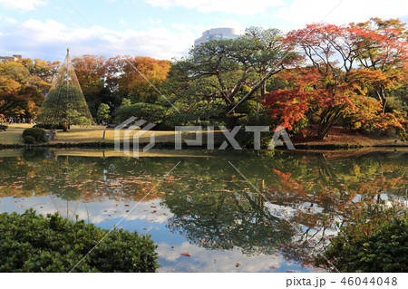六義園　Rikugien　Gardens 46044048