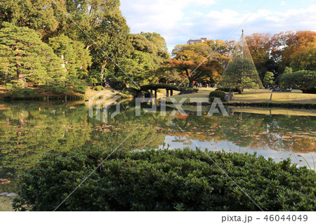 六義園　Rikugien　Gardens 46044049