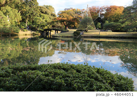六義園　Rikugien　Gardens 46044051