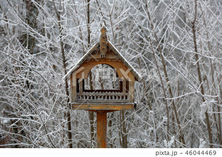 Feeder for birds in the park 46044469