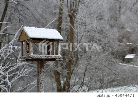 Feeder for birds in the park Feeder for birds in the park 46044471