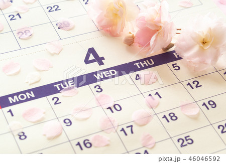春　桜　カレンダー　4月　入学　入社 46046592
