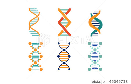 Bright DNA strands set, spiral genetic material vector Illustration on a white background 46046738