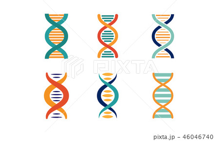 DNA strands set, spiral genetic material vector Illustration on a white background 46046740