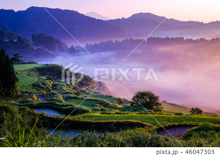 星峠の棚田 (朝景) 星峠の棚田 (朝景) 46047303