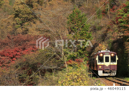紅葉のわたらせ渓谷鉄道 46049115