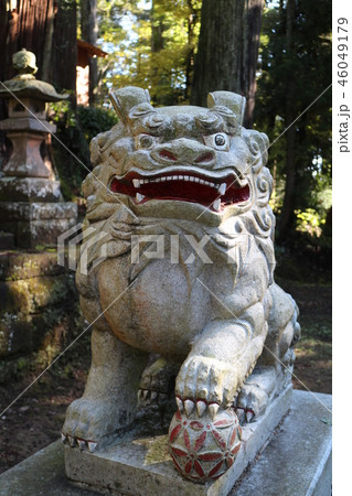 三島神社の狛犬(君津市) 三島神社の狛犬(君津市) 46049179