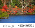 白駒池の紅葉 46049551