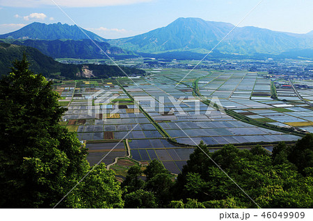 城山展望台からの阿蘇五岳 46049909