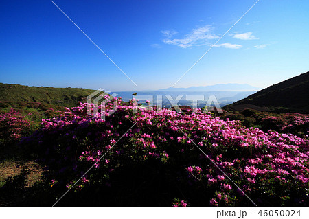 阿蘇仙酔峡 46050024