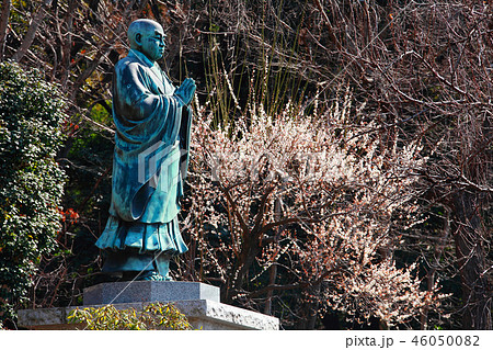 日蓮大聖人と白梅のコラボレーション 日蓮大聖人と白梅のコラボレーション 46050082