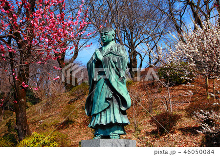 日蓮大聖人と紅白の梅のコラボレーション 日蓮大聖人と紅白の梅のコラボレーション 46050084