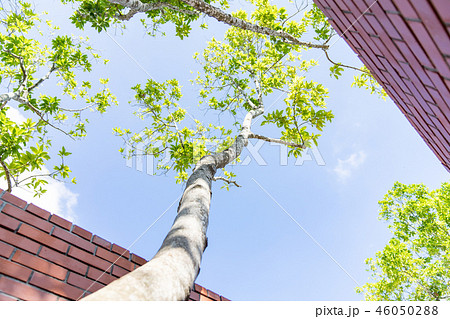 建築 構築 アーキテクチャ 46050288