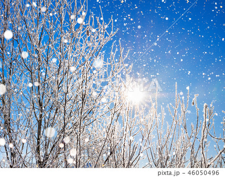 winter landscape with forest, snow and blue sky 46050496