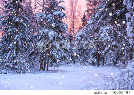 winter landscape with forest, trees and sunrise 46050497