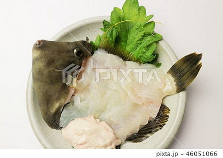 カワハギ 刺身 姿づくり 肝付 釣りたて新鮮 の写真素材