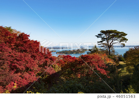 秋 松島 日本三景 2018年 秋 松島 日本三景 2018年 46051563