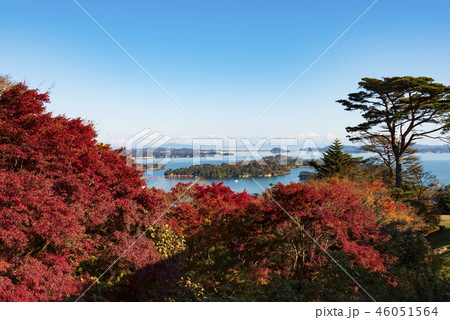 秋 松島 日本三景 2018年 秋 松島 日本三景 2018年 46051564