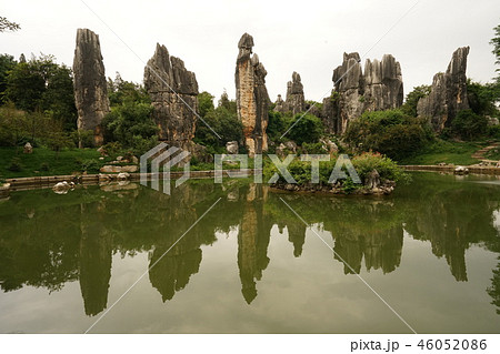 石林 昆明 中国の 46052086