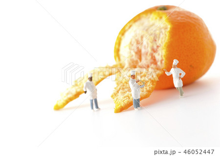 みかんのピールづくり 46052447