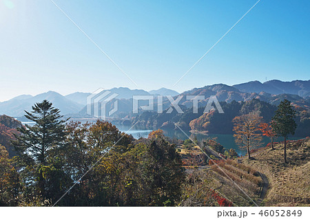 鳥居原園地から見える風景 宮ケ瀬湖と紅葉 鳥居原園地から見える風景 宮ケ瀬湖と紅葉 46052849