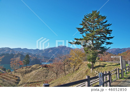 鳥居原園地から見える風景　宮ケ瀬湖と紅葉 46052850